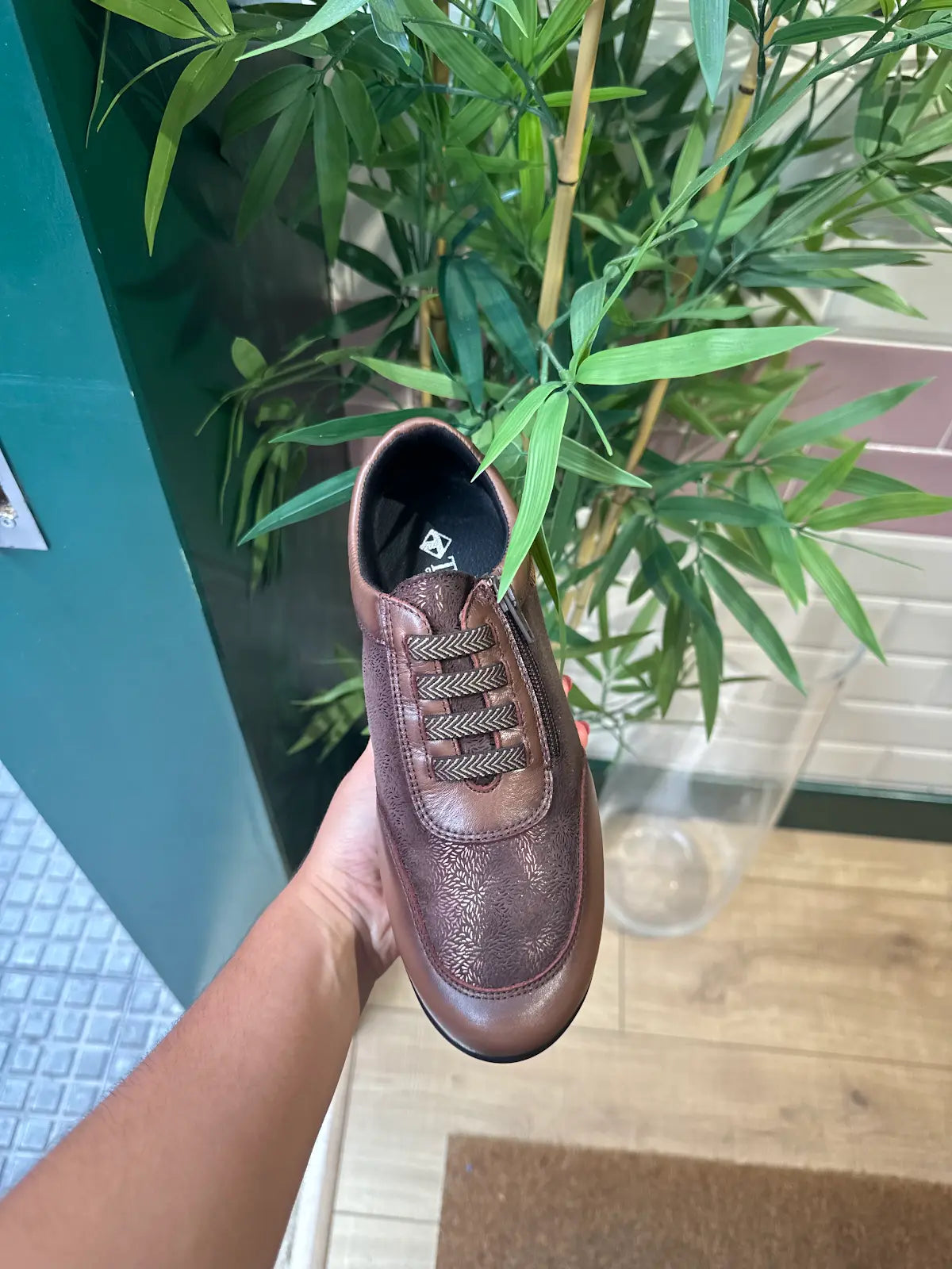 Zapato Comfort Tamicus Marrón
