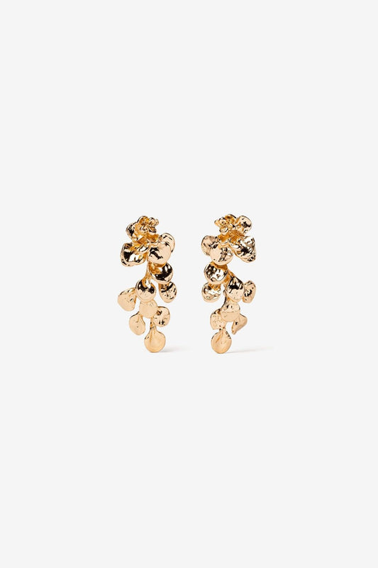 Pendientes Largos Irregulares Flor