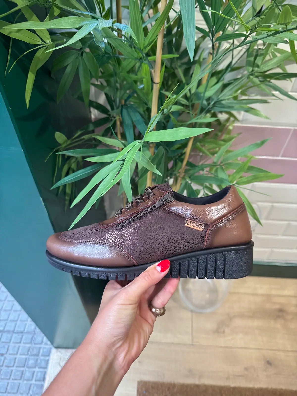 Zapato Comfort Tamicus Marrón